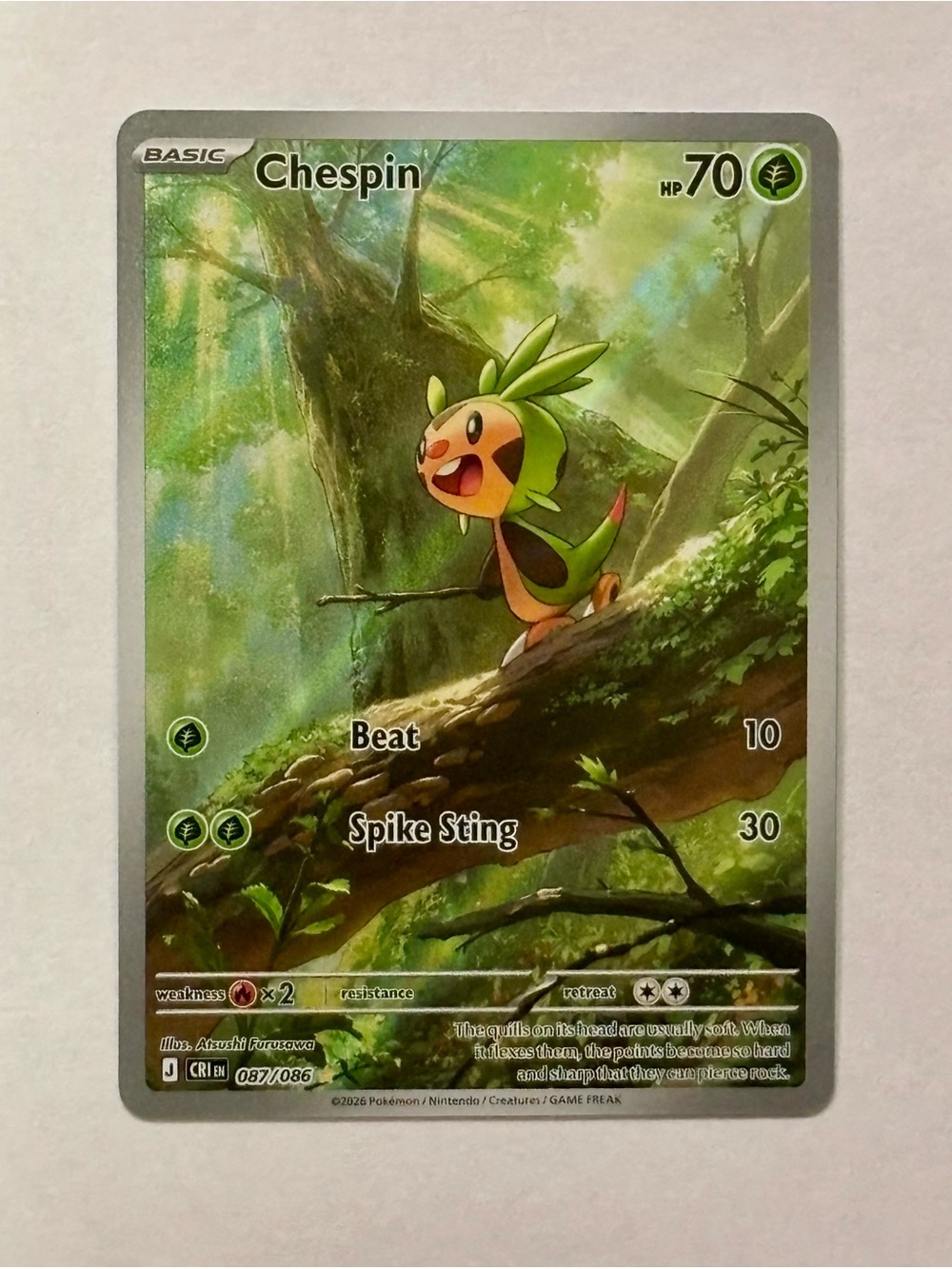 Pokemon Chespin Illustration Rare Holo - Chaos Rising NM